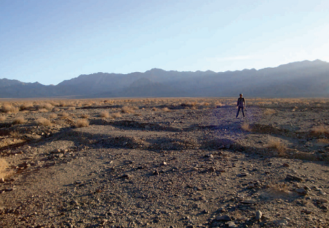 Geomorphology and seismotectonics of the Hojedk 2017 earthquake