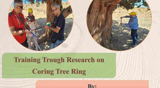 Training Trough Research On Coring Tree Ring