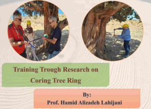 Training Trough Research On Coring Tree Ring