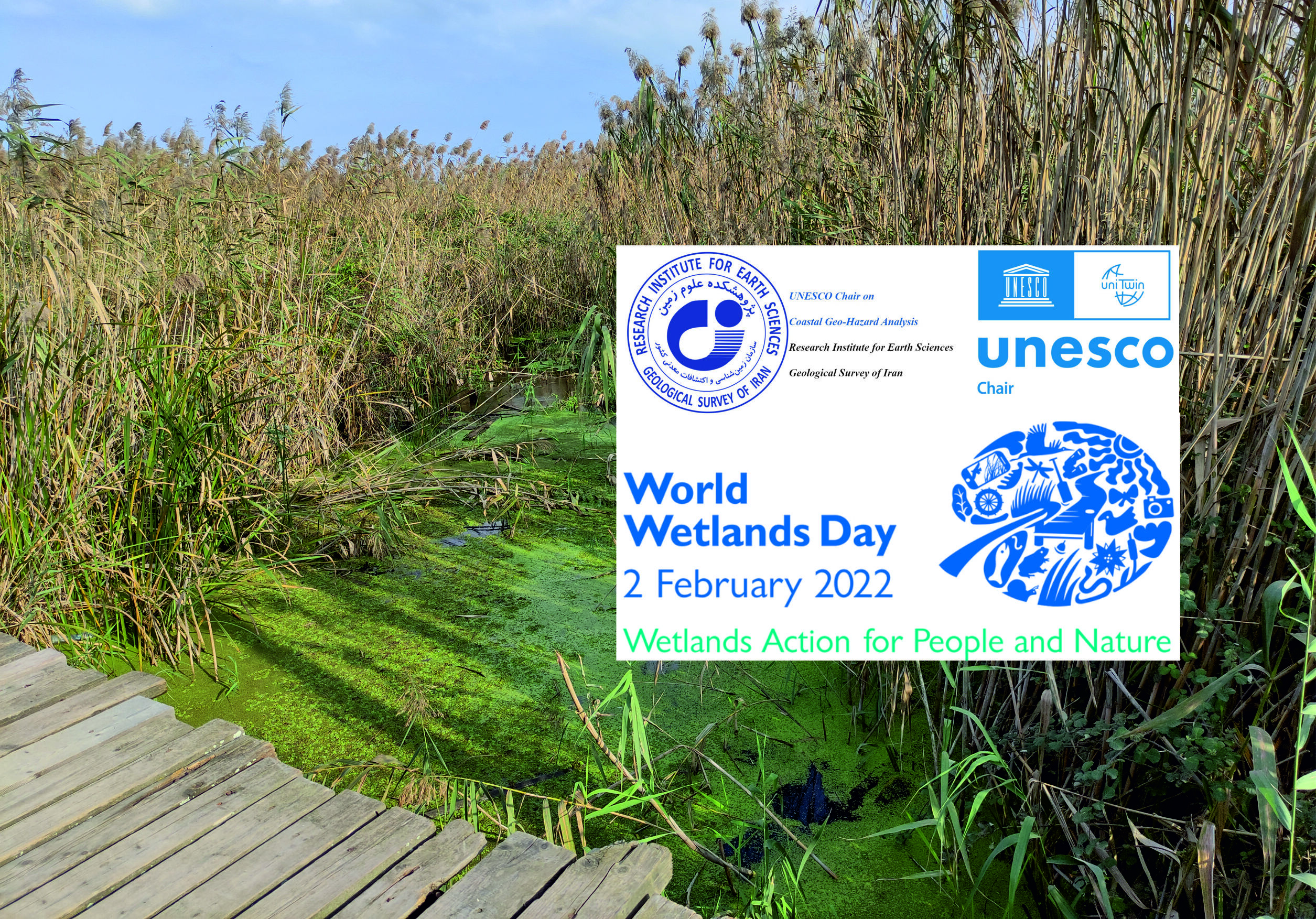 World Wetlands Day