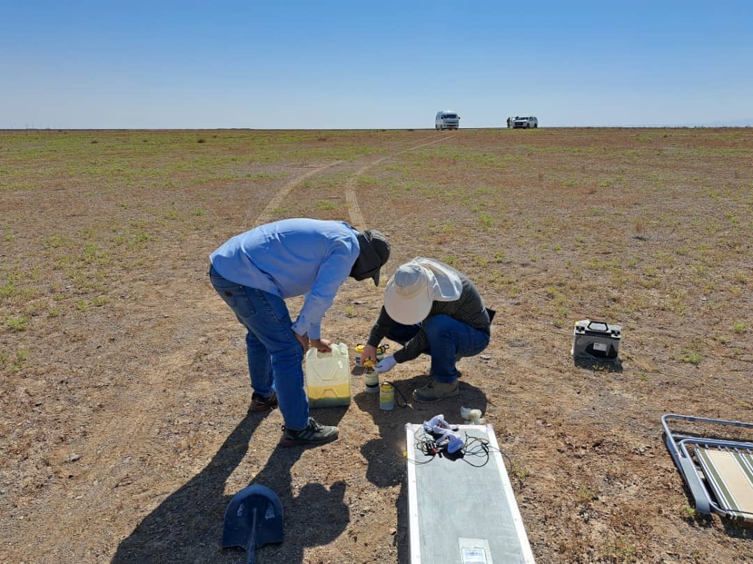 Workshop on Applied Magnetotellurics: From Field Data to 2D Inversion
