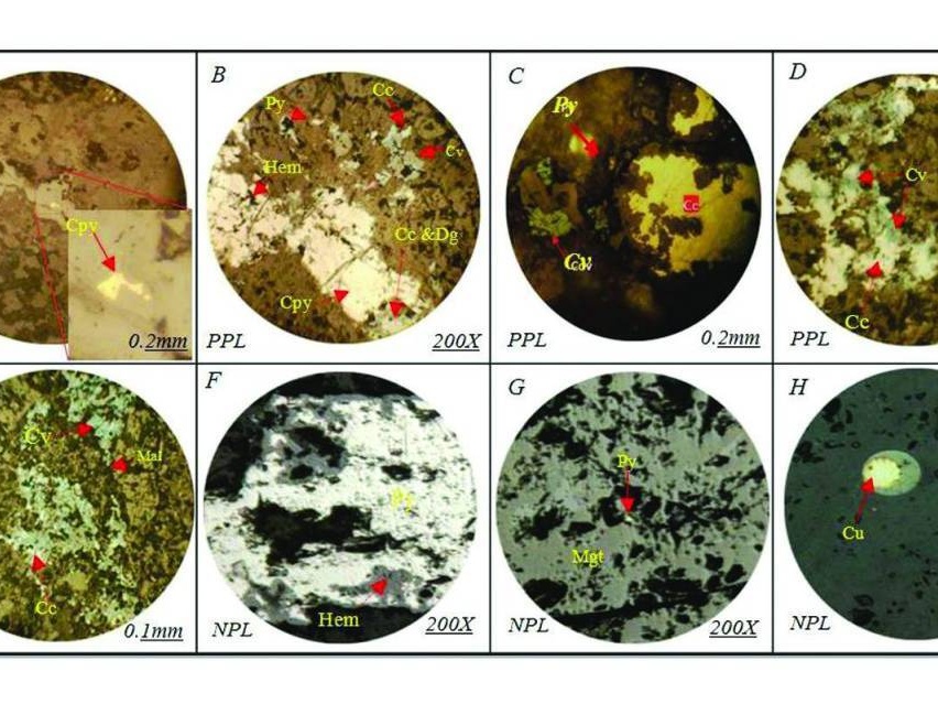 Petrogenesis, Geochemistry of Fluid Inclusions, and the Role of Subvolcanic Intrusive Bodies in the Genesis of Copper Mineralization in the Chah Morad Deposits, Northern Torud, Semnan