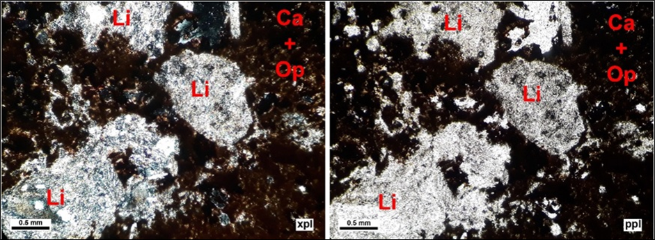 Determination of mineralization controlling factors of Fath-Abad deposit in sedimentary sequence (Roshtkhar - Khorasan Razavi) in related to oligiste (Iron ore), gold and barite exploration