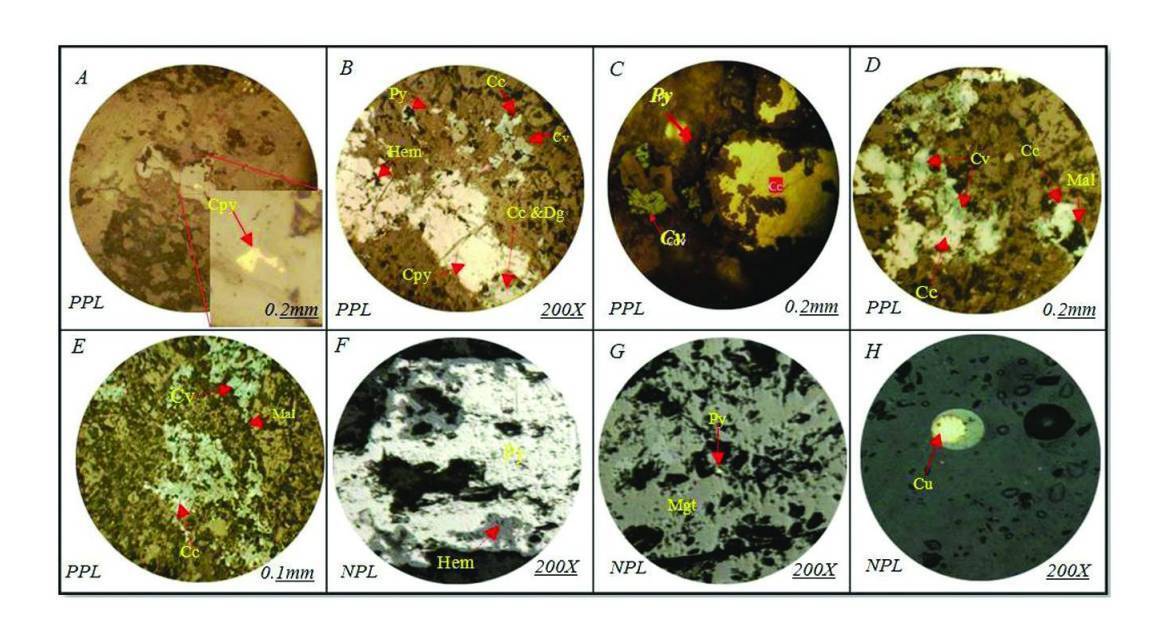 Petrogenesis, Geochemistry of Fluid Inclusions, and the Role of Subvolcanic Intrusive Bodies in the Genesis of Copper Mineralization in the Chah Morad Deposits, Northern Torud, Semnan