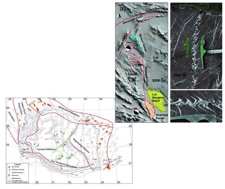 Block Rotation: Relationships between Tectonic Movements, Block Configuration, and Their Function in Nature