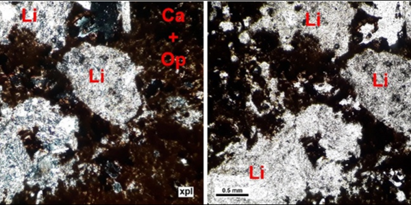 Determination of mineralization controlling factors of Fath-Abad deposit in sedimentary sequence (Roshtkhar - Khorasan Razavi) in related to oligiste (Iron ore), gold and barite exploration