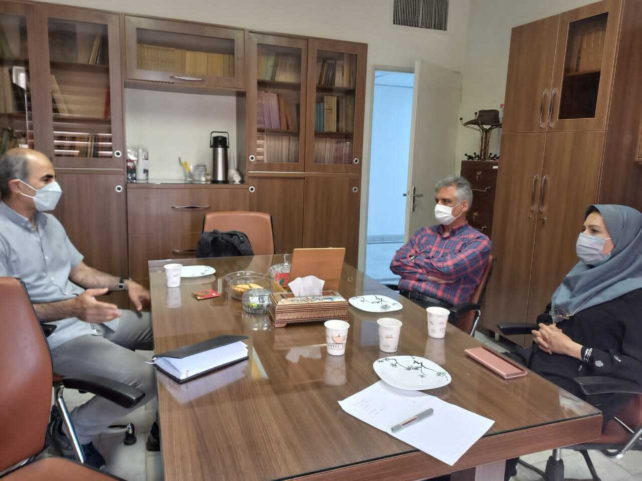 جلسه کرسی یونسکو مخاطرات زمین شناختی ساحلی با فدراسیون غارشناسی در زمینه لزوم همکاری های مشترک