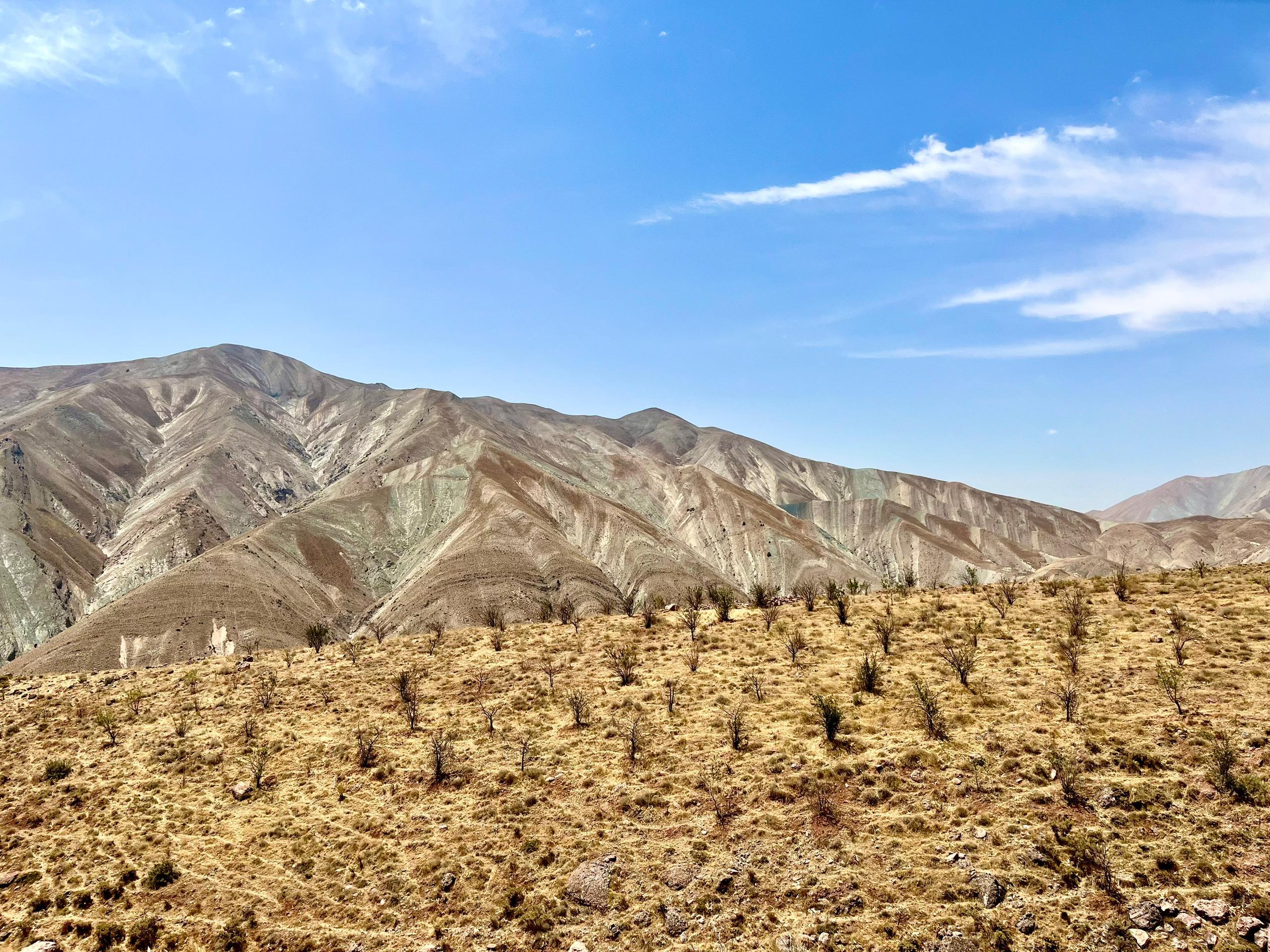 برگزاری فیلد عملی نائین در شهریورماه ۱۴۰۴