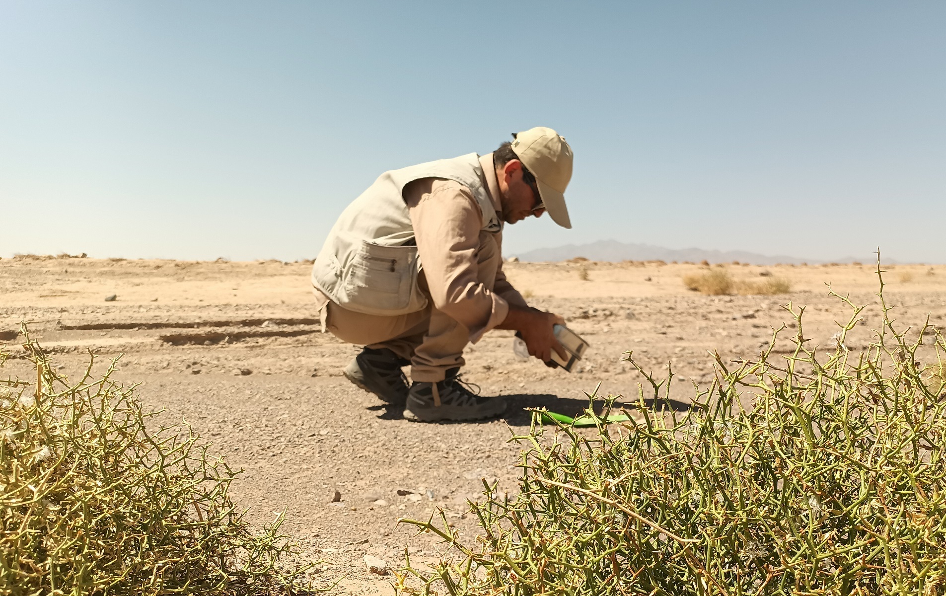 برگزاری فیلد عملی تهیه نقشه های زمین‌شناسی و ژئوشیمی در نائین