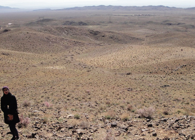 مطالعه محیط تشکیل و عوامل کنترل کننده کانه زائی کانسار مس شمال خاور نارباغی، ساوه