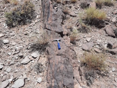 پژوهش، تحقیق  و شناسایی مناطق دارای پتانسیل آهن در محدوده جغرافیایی ایران مرکزی به وسعت ۱۱۶۰۰۰