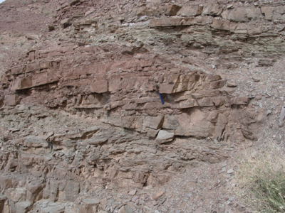 مطالعه چينه‌شناسی سنگی – زيستی و محيط رسوبی سنگ‌های کرتاسه ناحيه خور و بيابانک